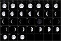 Current Moon Phase Calendar